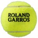 Мячи  теннисные Wilson Roland Garros All Court (4 шт/уп.)